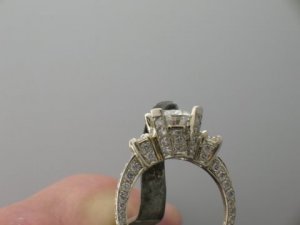 udeg4eric8711.JPG