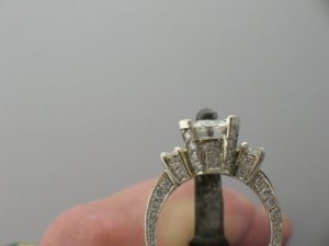 udeg5eric8711.JPG