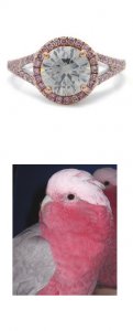 greywithpink.jpg