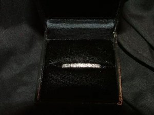 Platinum Pave Eternity band2.JPG