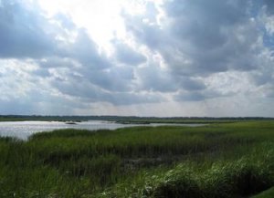 0_Sea_Island_rivermarsh_view2.jpg