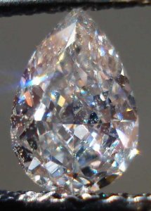 perfectpear101.JPG perfectpear101.JPG