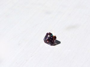 gkspinel1.jpg