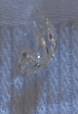 Sury125 ct-1.jpg