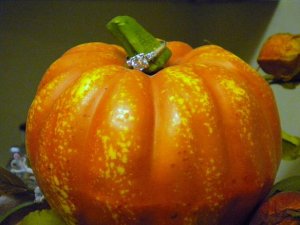 pumpkinring.jpg