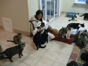 kitties!havenps.jpg kitties!havenps.jpg