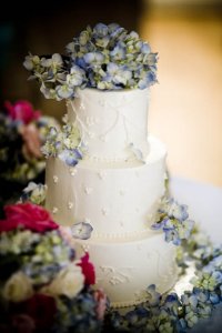 ctekweek6cakepic.jpg