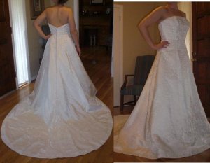 dressbackfrontajs.jpg