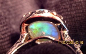 Opal_underside.jpg