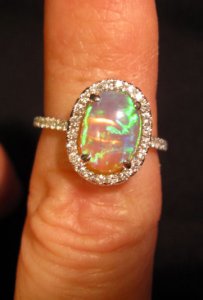 Opal_on_hand.jpg