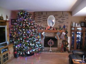cmsxmastree2010.jpg