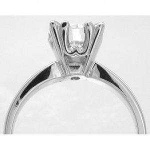 ringfishtail1.jpg