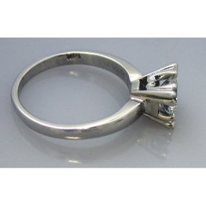 ringfishtail4.jpg