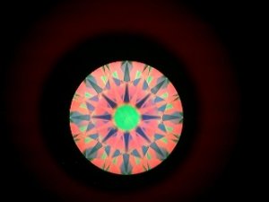 ASET_120209.JPG