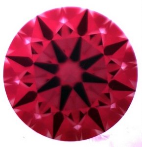 1266199.JPG