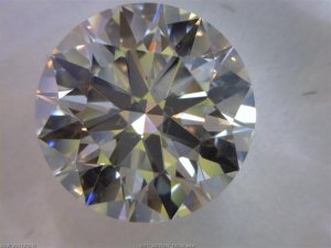 live zoom pic.id (Small).jpg