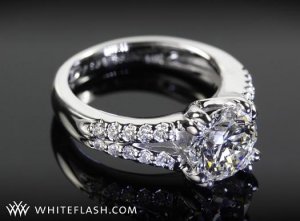 ring 1resize.jpg