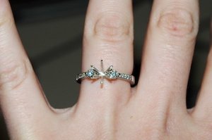 ring0419.JPG