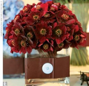 HH new floral.jpg