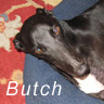 Butch%20is%20Stunning%20123 copy.jpg