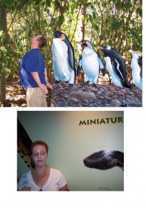 zoosilly.JPG