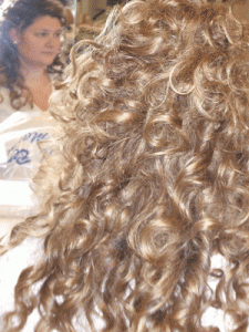 2008_0829September060003.gif