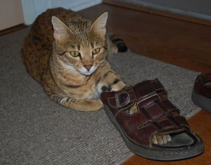 zoewithstinkyshoes.jpg
