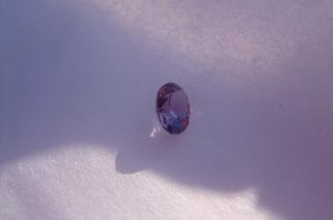 DSC01069-edit1.JPG