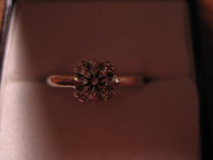 IMG_4554.JPG