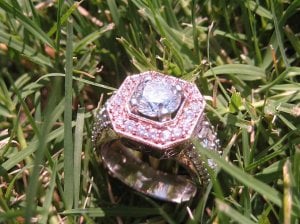 010 resized.jpg