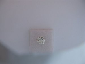 Resize0003Transitional2.jpg