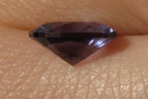 IMG_1890 freke.jpg