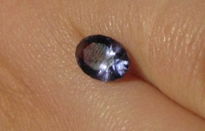 IMG_1885 freke.jpg