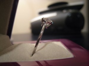 IMG_3232.jpg