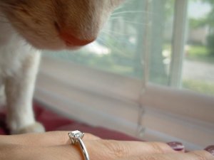 kat.and.cat.jpg