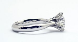 arrows9085.jpg