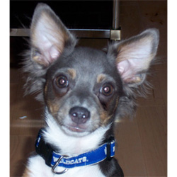 rhett from website2.jpg rhett from website2.jpg