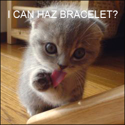 f_cutecatm_8846c59.png