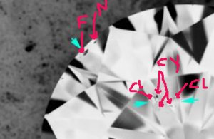 4490CLARITY-inverted.jpg