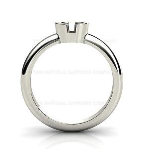 nsc side view bezel.JPG