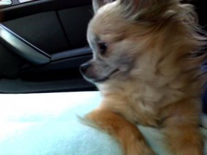 Pierre 2006 car ride.JPG