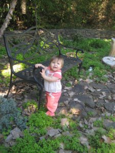 IMG_T3209.jpg