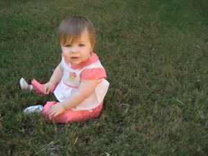 IMG_T3264.jpg