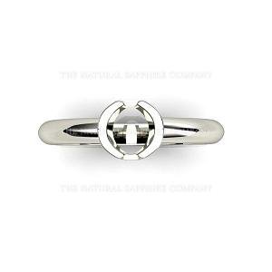 nsc top view bezel.JPG