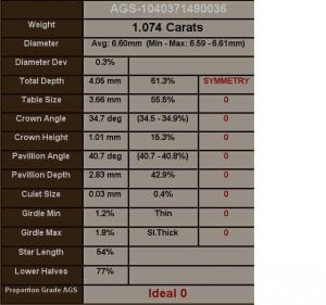 SARIN1101.JPG