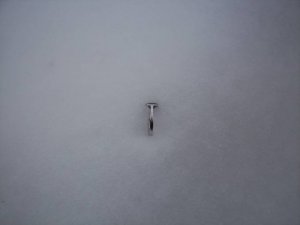 100_04691.jpg
