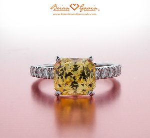 BrianGavin_Yellow2_123109bbb.jpg