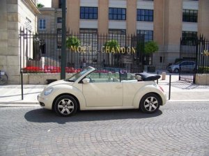 PoBug-Moet.jpg