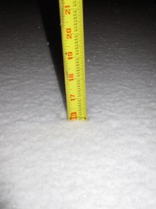 vipsnow16.JPG