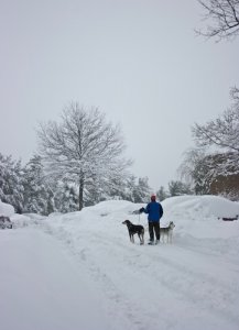 vipsnow917.jpg
